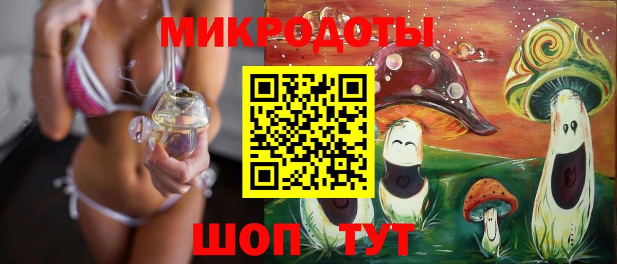 Псилоцибиновые грибы Psilocybine cubensis Соль-Илецк